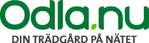 Odla